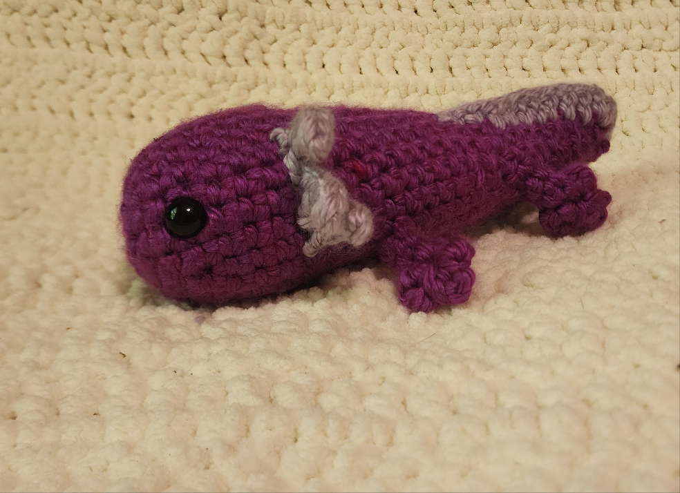 Medium Axolotl