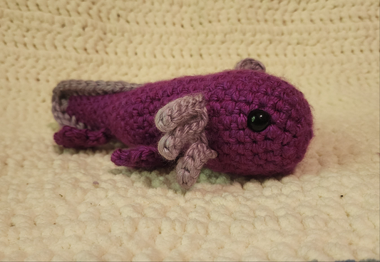 Medium Axolotl
