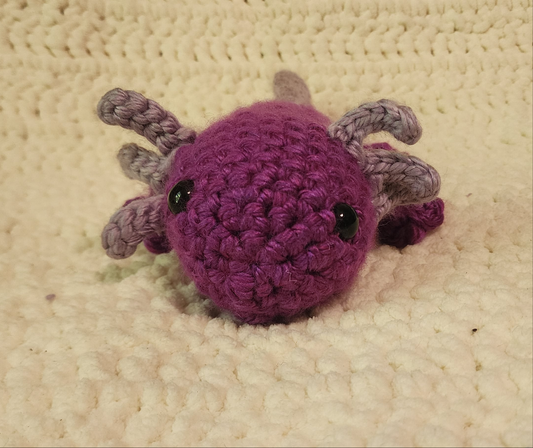 Medium Axolotl
